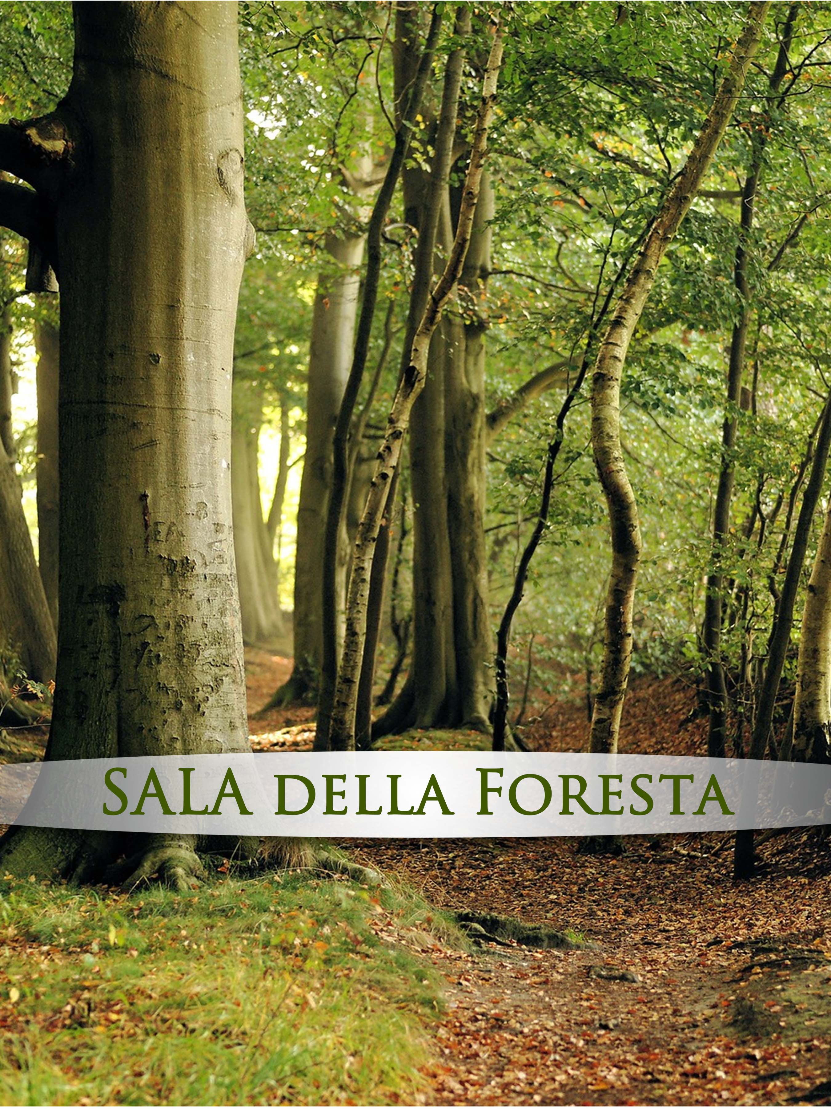 SAIJA