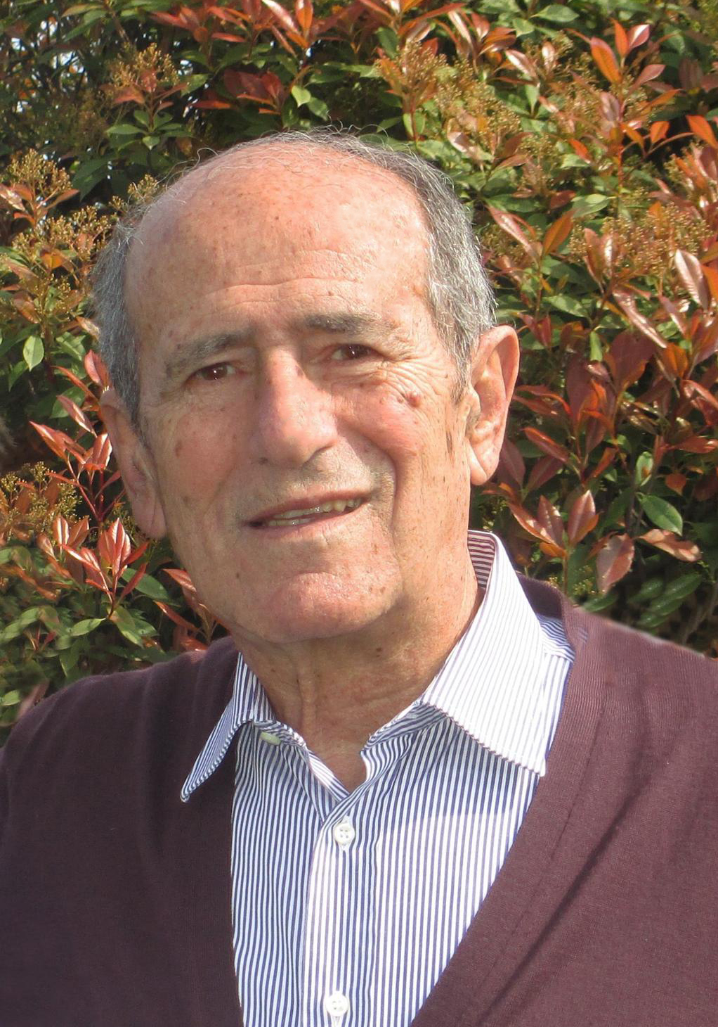 GHIOLDI